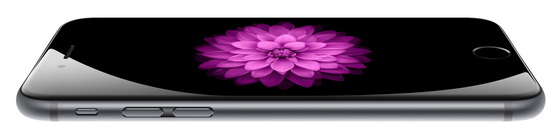 Apple iPhone 6  6 Plus
