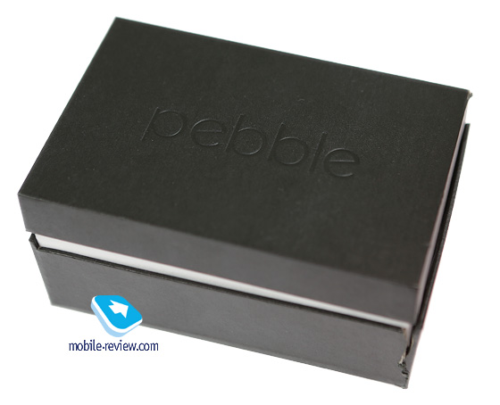   Pebble Steel Watch