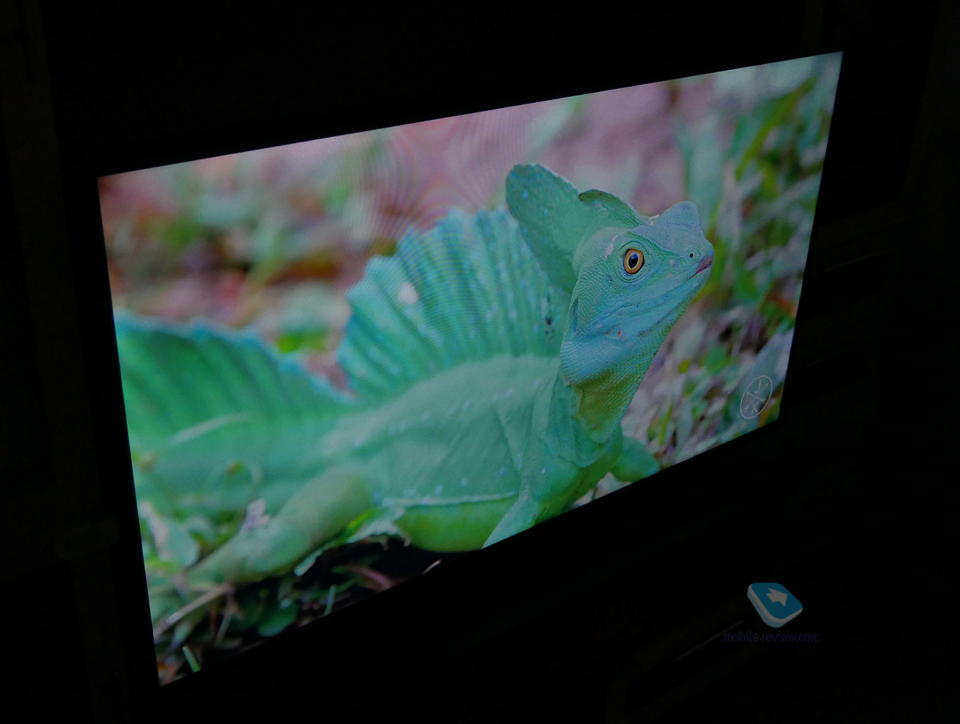 Experience of using Xiaomi Mi TV 4S at 55 inches
