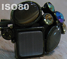 Обзор цифровой камеры Canon PowerShot A550