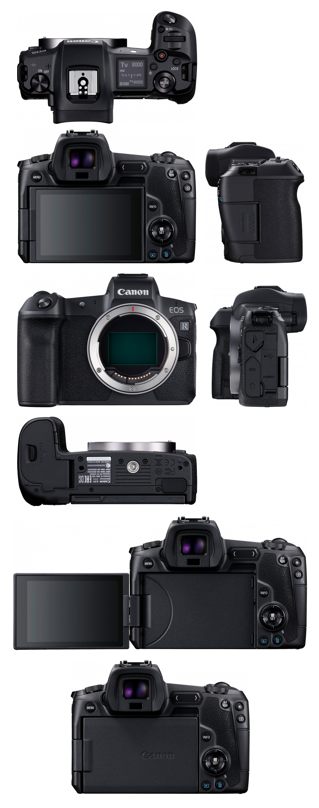   Canon EOS R