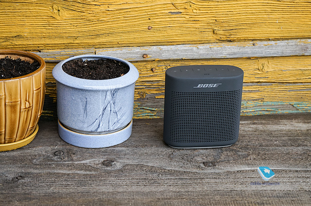    Bose SoundLink Color II