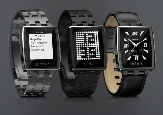   Pebble Steel Watch