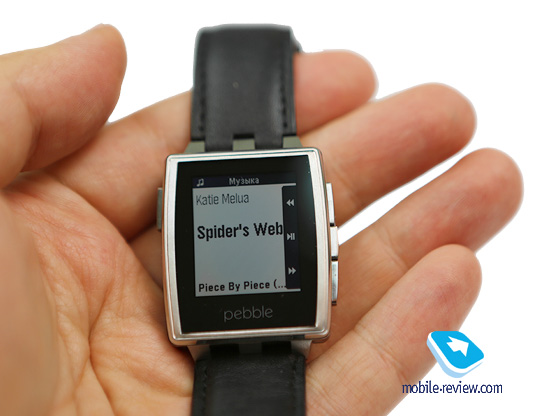   Pebble Steel Watch