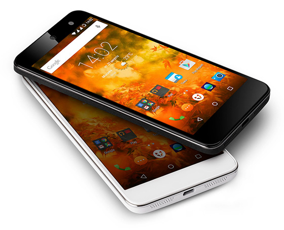 WileyFox