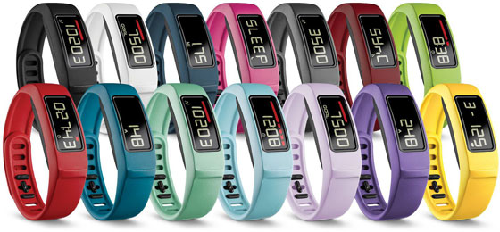 Garmin Vivofit 2