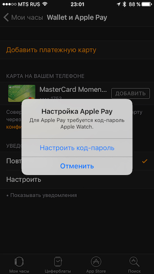       Apple Pay