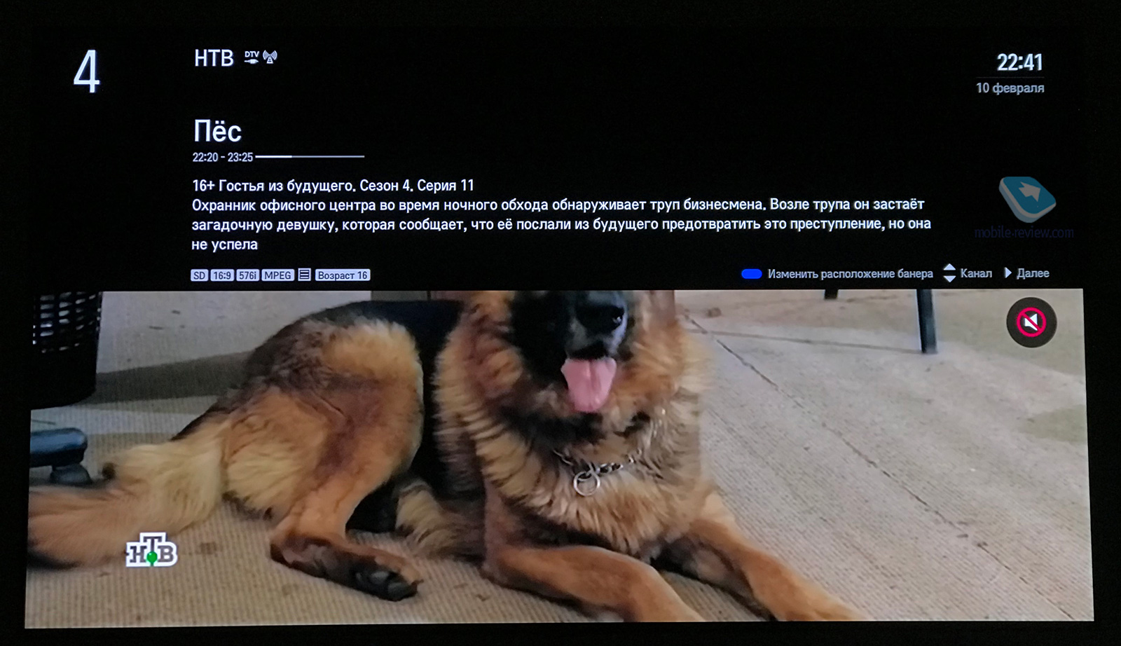       2019 ?