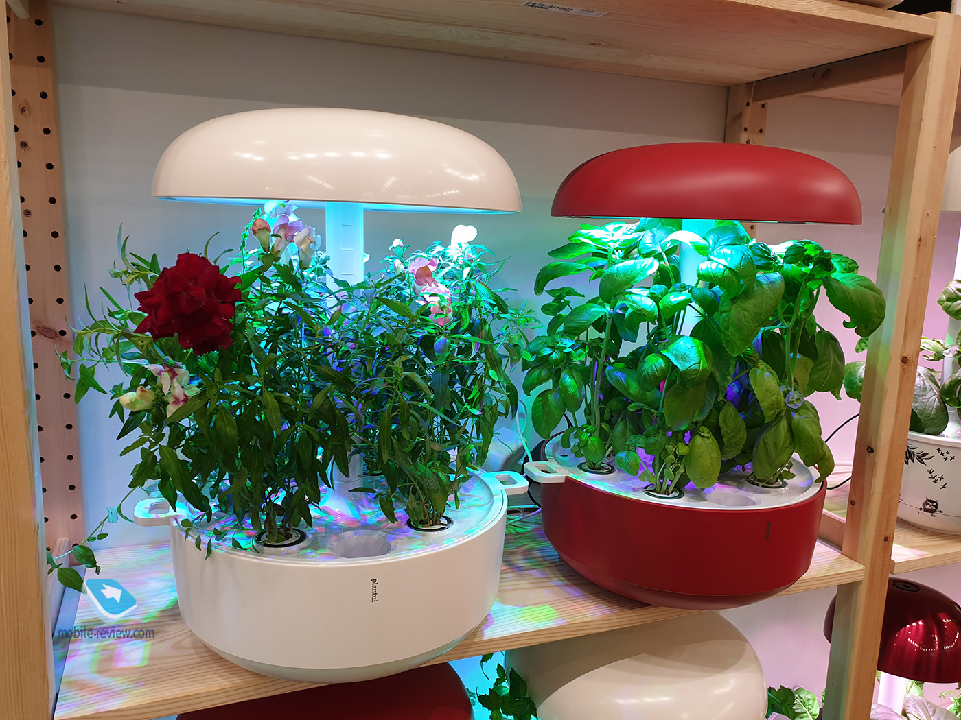 IFA 2019:         