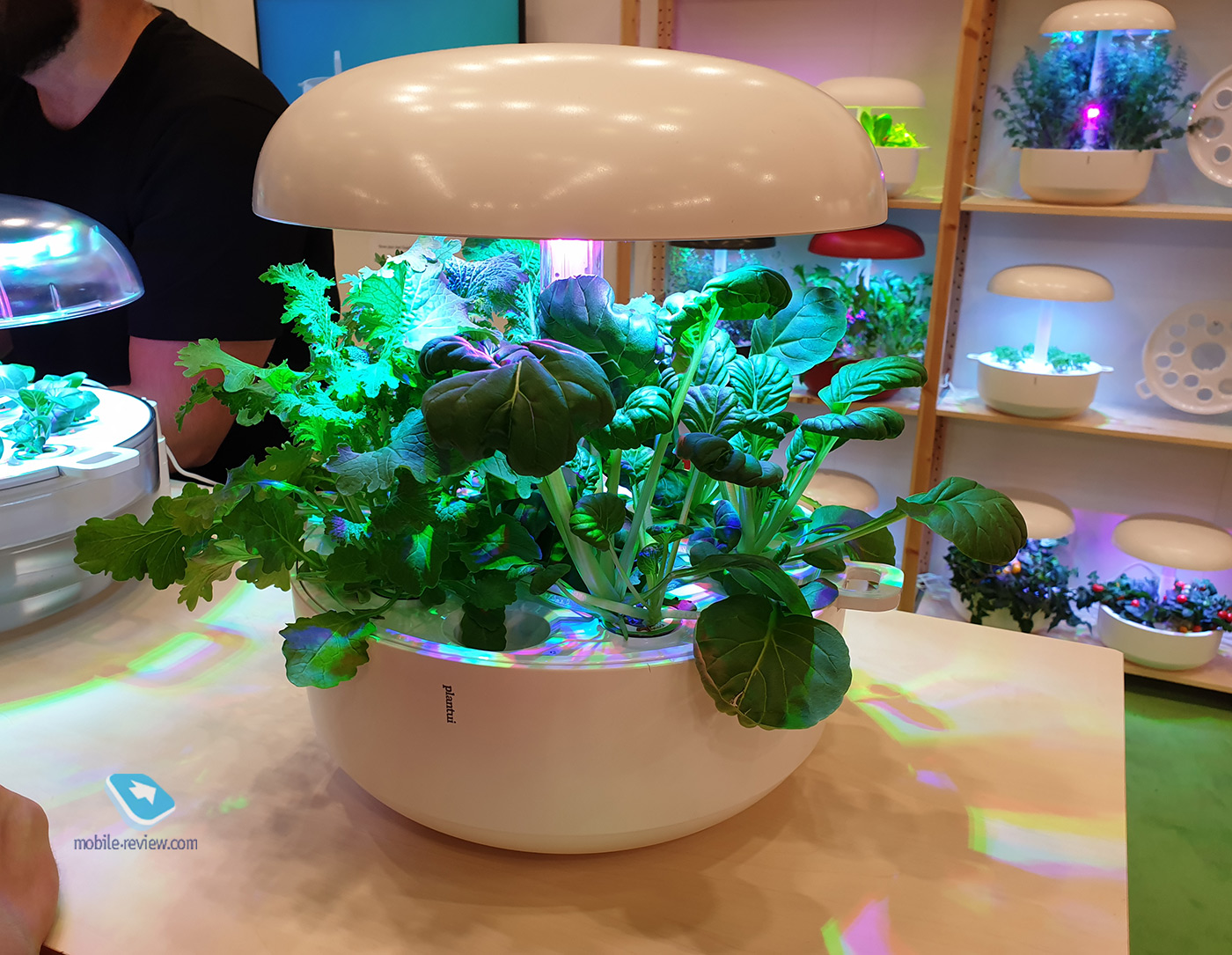 IFA 2019:         