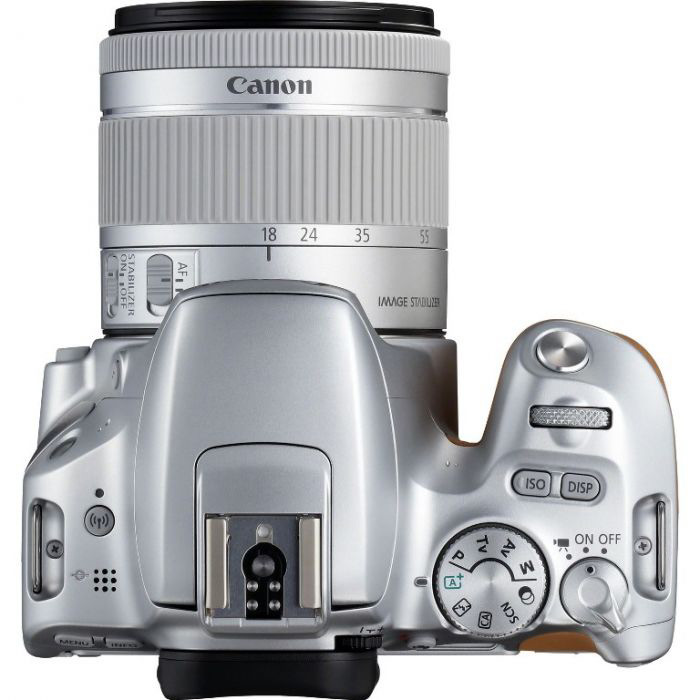 Смесь: мысли про Canon EOS 200D и фотографию