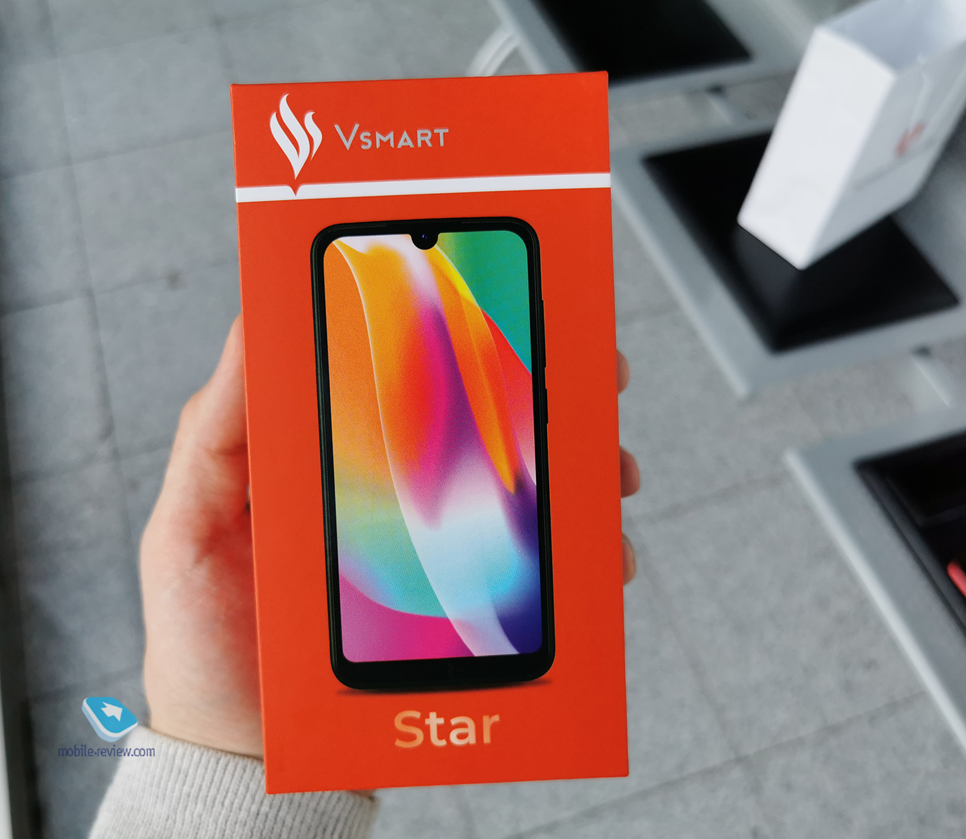  VinSmart    