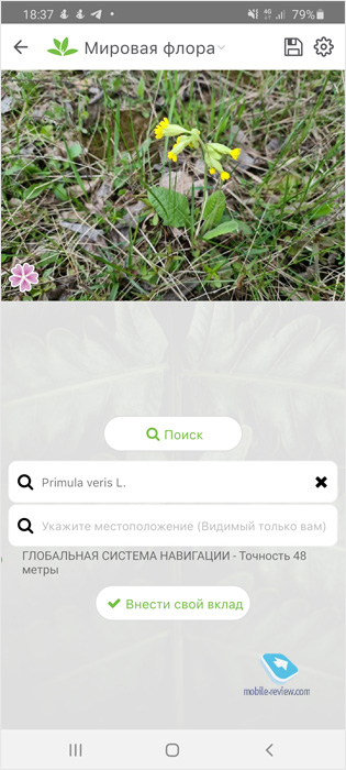  590.  Huawei      
