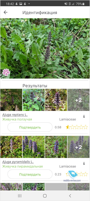  590.  Huawei      