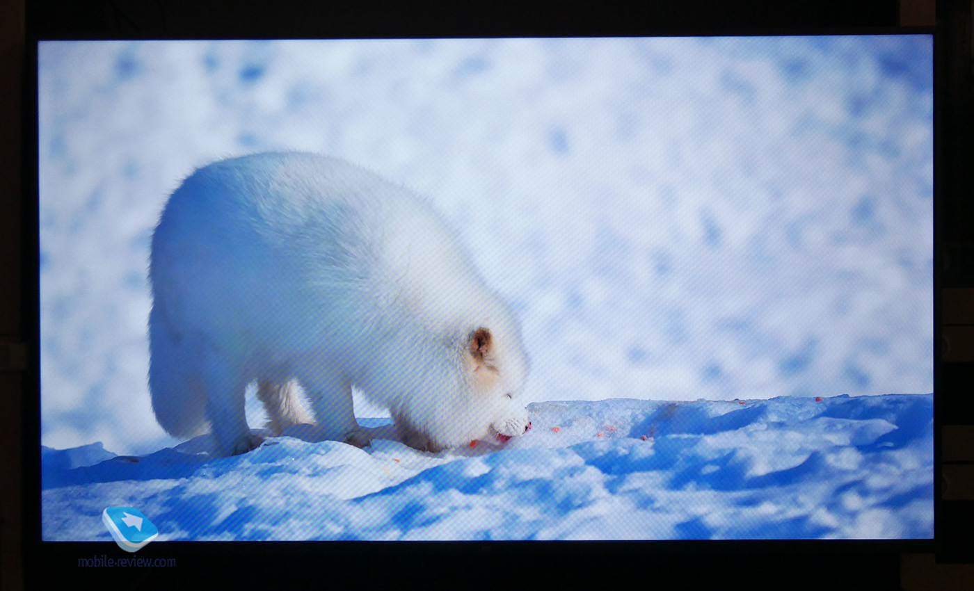   Xiaomi Mi TV 4S  55 