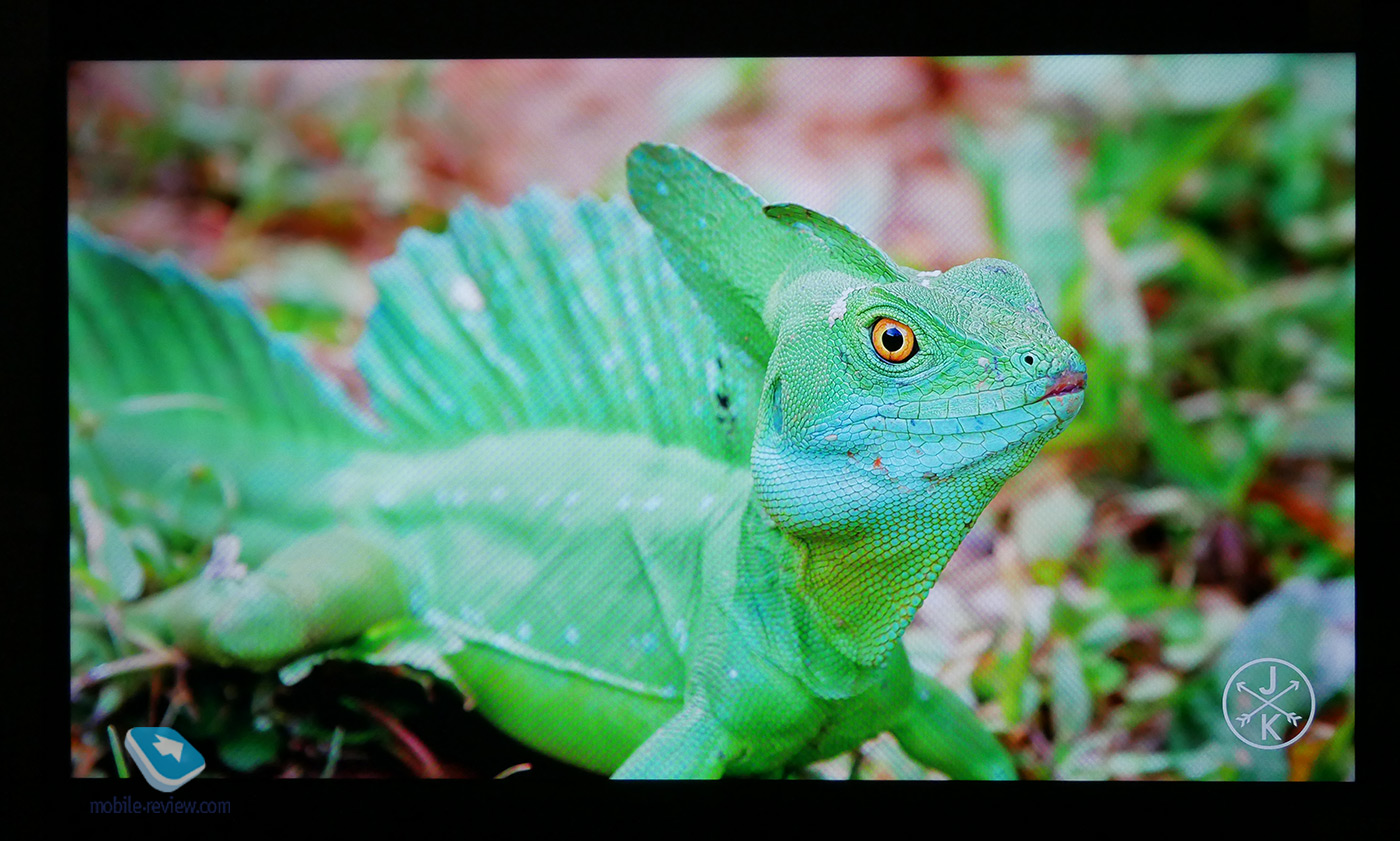   Xiaomi Mi TV 4S  55 