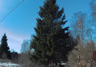 ����-������ OnReal B1-BS