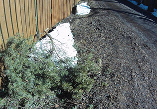 ����-������ OnReal B1-BS