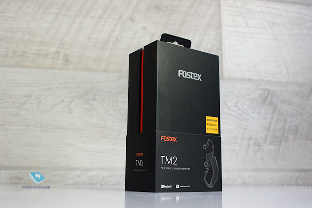     Fostex TM2