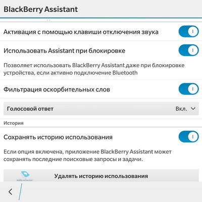    Blackberry 10.3.x