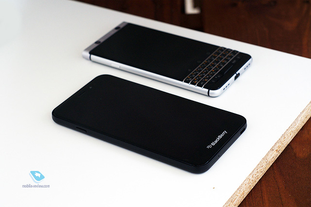 Blackberry Aurora