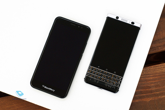 Blackberry Aurora