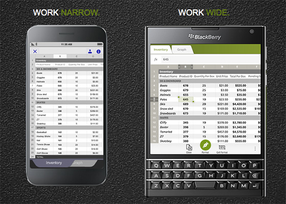 Blackberry Passport