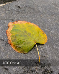 HTC One A9