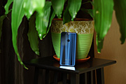 Honor 8
