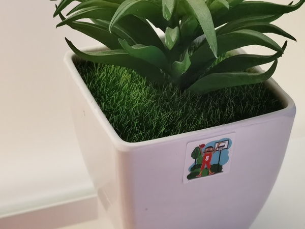   Huawei P40     