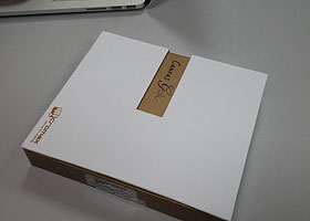 MicroMax Canvas Gold A300