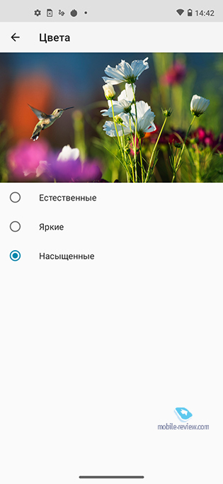 Обзор Motorola Moto G8 за 11 990 рублей